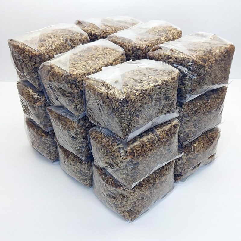 18 x 1lb Sterilized Rye Berry Grain Mushroom Substrate Bags for Mushroom Cultivation and Making Grain Spawn