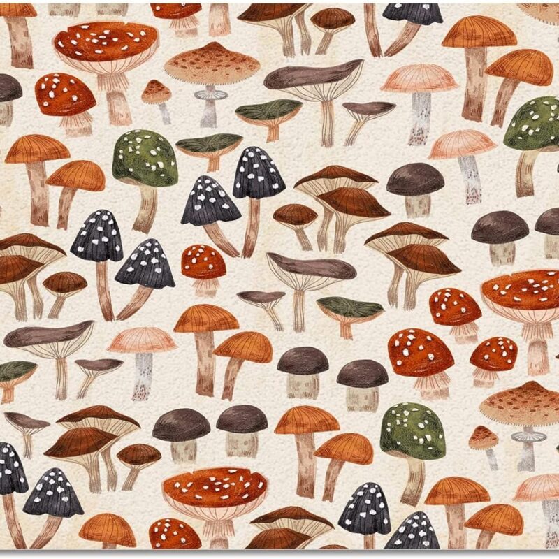 Modern Minimalist Mushroom Area Rug, Oyster Mushroom Creative Design Decorative Kids Area Rugs, Cartoon Print Carpet, for Kids Boys Girls Playing Room Living Room,3 x 5ft