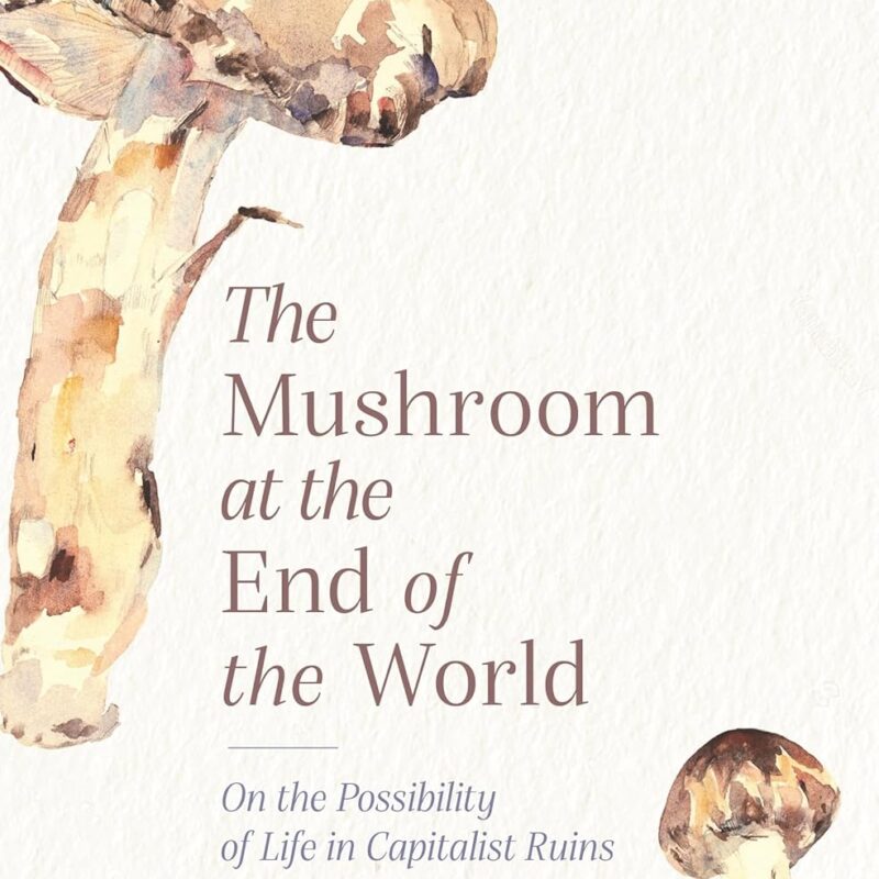 The Mushroom at the End of the World: On the Possibility of Life in Capitalist Ruins
