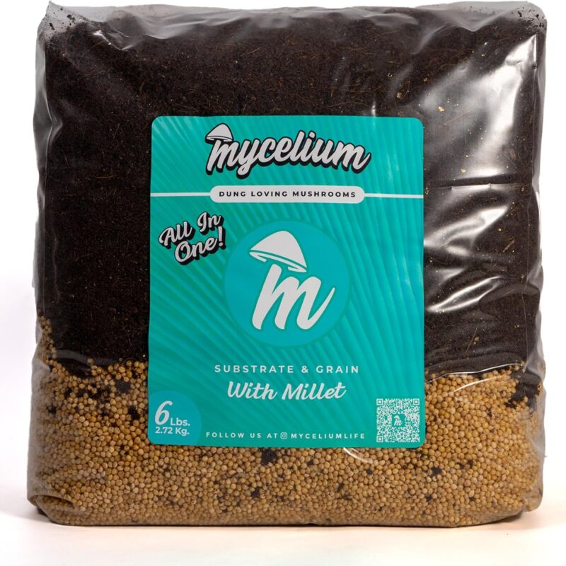 Mycelium Mushroom Growing Kit I CVG Substrate (Coco Coir, Vermiculite, Gypsum) with Millet Grain I High Yield Proprietary Mix I Sterilized Mushroom Grow Bag for Starter & Pro Home Growers, 6lbs