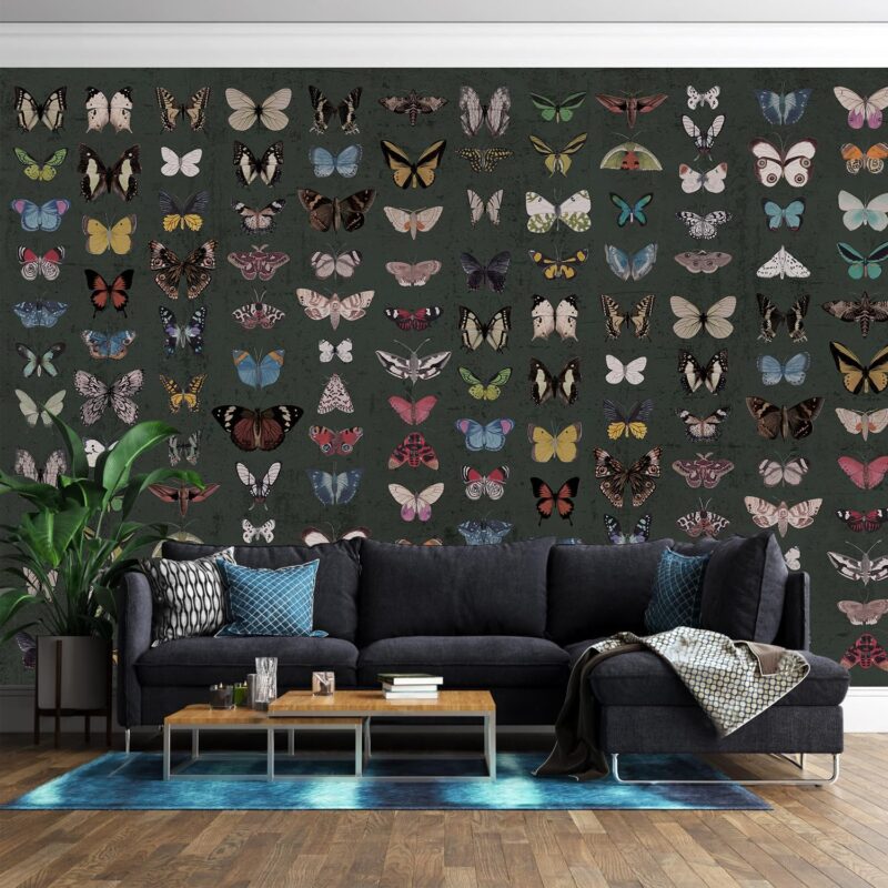 FWIEXA Multicolor Butterflies Vintage Dark Green Wallpaper, Modern Jewel Minimalist Specimen Wall Mural, Dark Bug Art Print for Bedroom Nursery Living Room Offices 141" W x 96" H(Not Peel and Stick