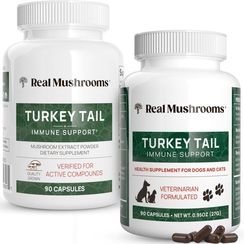 Real Mushrooms Turkey Tail for Humans & Pets - Bundle for Immune Support - Vegan, Non-GMO, Grain-Free, Gluten-Free Mushroom Extract Capsules - Verified Levels of Beta-Glucans