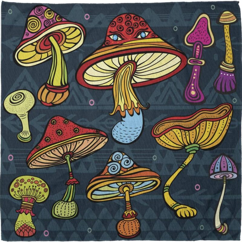 Lunarable Multicolor Unisex Bandana