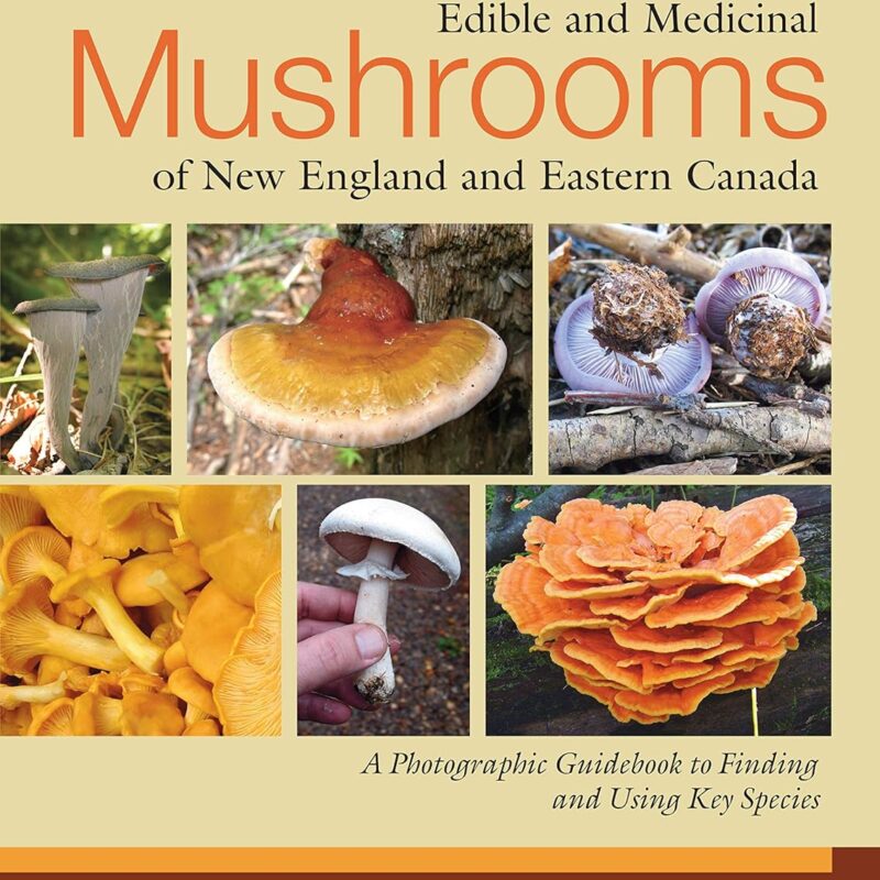 Edible and Medicinal Mushrooms of New England and Eastern Canada: A Photographic Guidebook to Finding and Using Key Species