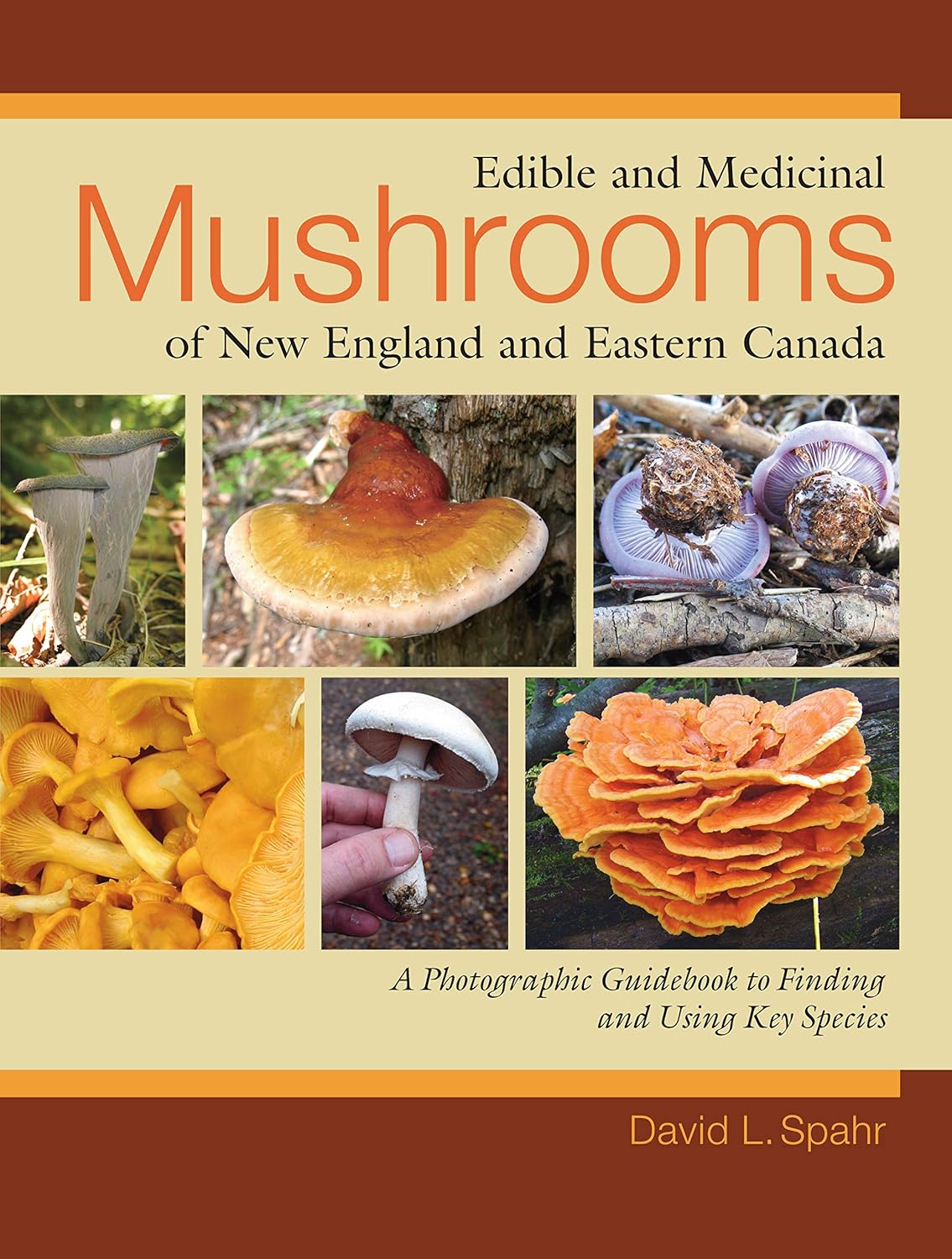 81NYh9cKFKL._SL1500_.jpg Edible and Medicinal Mushrooms of New England and Eastern Canada: A Photographic Guidebook to Finding and Using Key Species