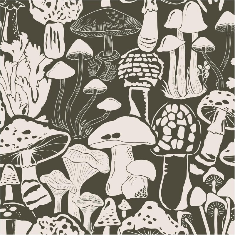 HAOKHOME Mushroom Peel and Stick Wallpaper Forest Vintage Removable Contact Paper Home Bathroom Boho Decor 17.7in x 32.8ft