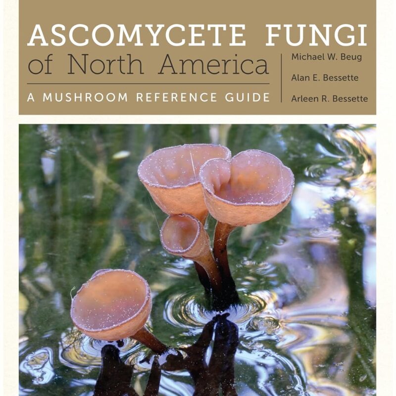 Ascomycete Fungi of North America: A Mushroom Reference Guide (Corrie Herring Hooks Series)