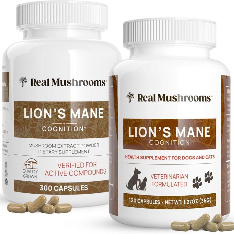 Real Mushrooms Lions Mane for Humans (300ct) and Pets (120ct) - Bundle for Cognition & Immunity - Vegan, Non-GMO, Gluten-Free, Grain-Free Mushroom Extract Supplements