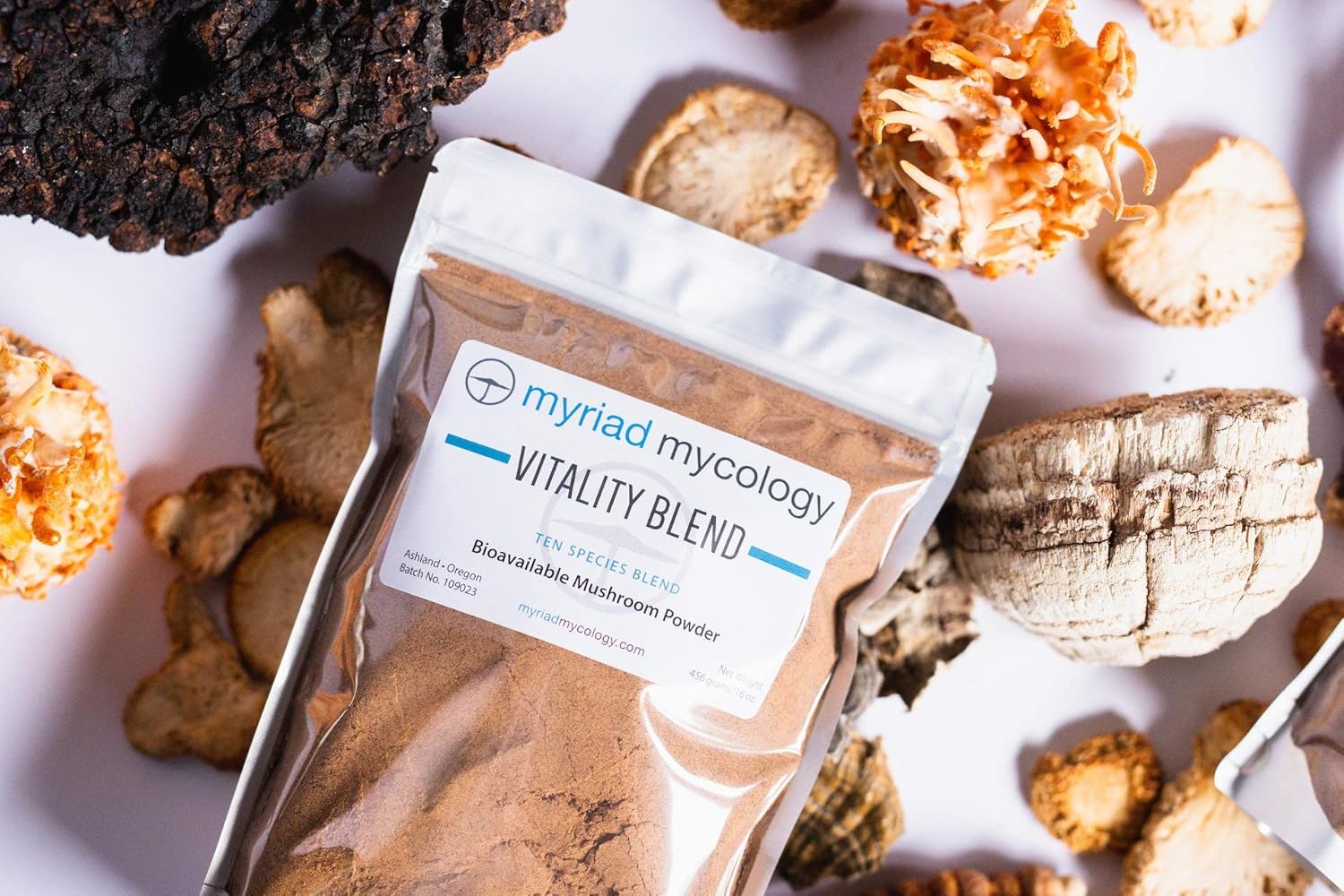 81cSSiXoAsL._AC_SL1500_.jpg Myriad Mycology Vitality Blend - Mushroom Powder 1 Pound or 456 Grams 10 Medicinal Mushroom Powders. Lion's Mane, Cordyceps, Turkey Tail, Reishi, Chaga, Maitake, Shiitake, Blazei, Agarikon, and Mesima Sang-Huang - Image 2