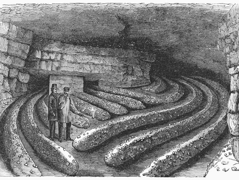 Botany Mushroom Cave Nmushroom Cave Seventy Feet Beneath The Surface At Montrouge Near Paris France Line Engraving 1875 Poster Print by (24 x 36)