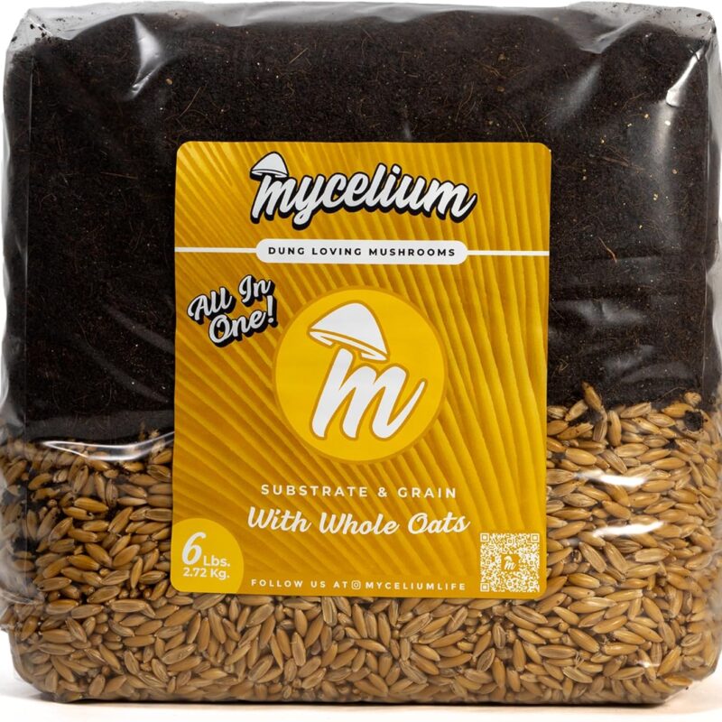 Mycelium Mushroom Growing Kit I CVG Substrate (Coco Coir, Vermiculite, Gypsum) with Whole Oats Grain I High Yield Proprietary Mix I Sterilized Mushroom Grow Bag for Starter & Pro Home Growers, 6lbs