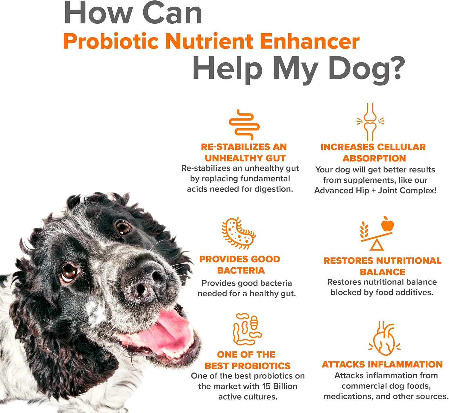 81hTzvq9CtL._AC_SL1500_.jpg Turkey Tail Mushroom for Dogs Immune Support Bundled with Probiotic Nutrient Enhancer - Image 8