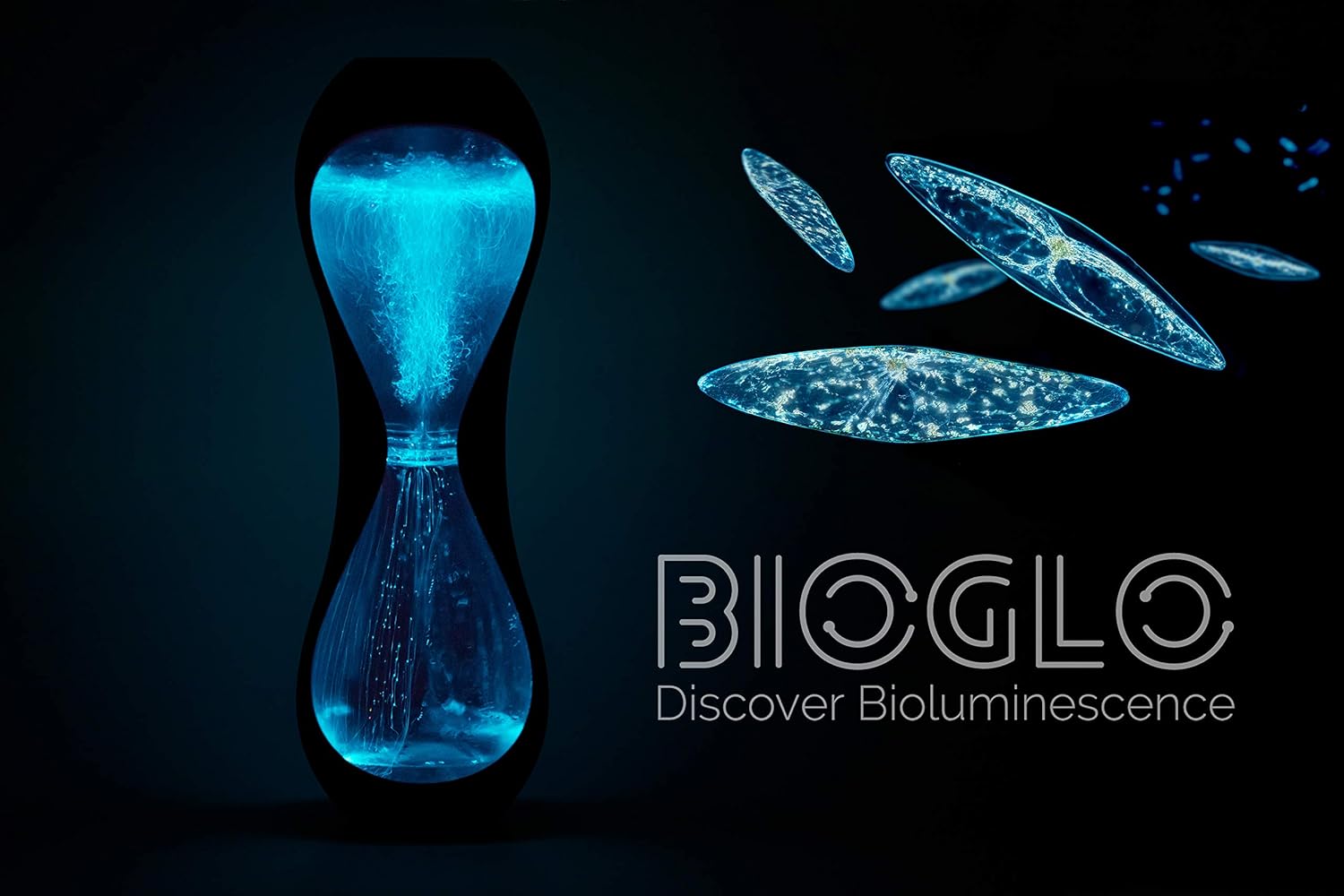 81li2xVCaDL._AC_SL1500_.jpg BioGlo: Bioluminescent Aquarium - Image 4