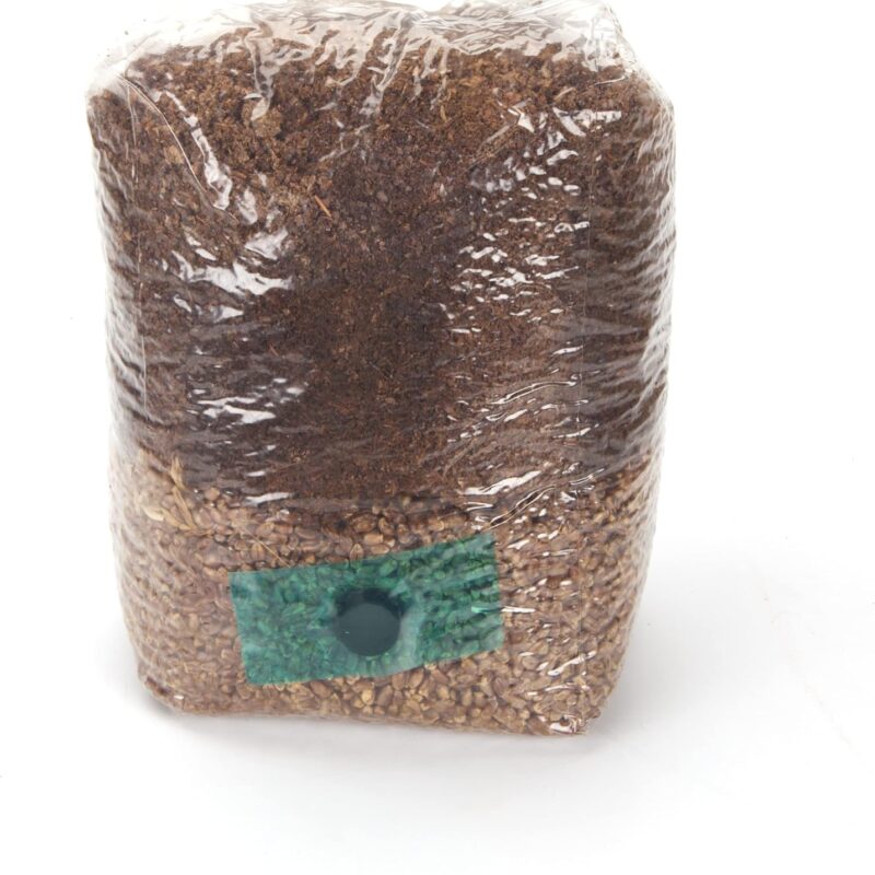 All-in-One Mushroom Grow Bag for Wood Lovers - 5 pounds - Sterilized Mushroom Media with Injection Port. 5 Bags.