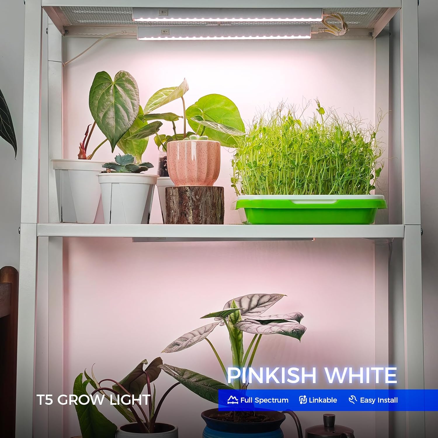81u2SX3hZ2L._AC_SL1500_.jpg Barrina Grow Lights for Indoor Plants, Full Spectrum Sunlight, 1ft Plant Light for Indoor Growing, LED Grow Light Bulbs, T5 Grow Light Strip, Plug and Play, Pinkish White, 8-Pack - Image 2