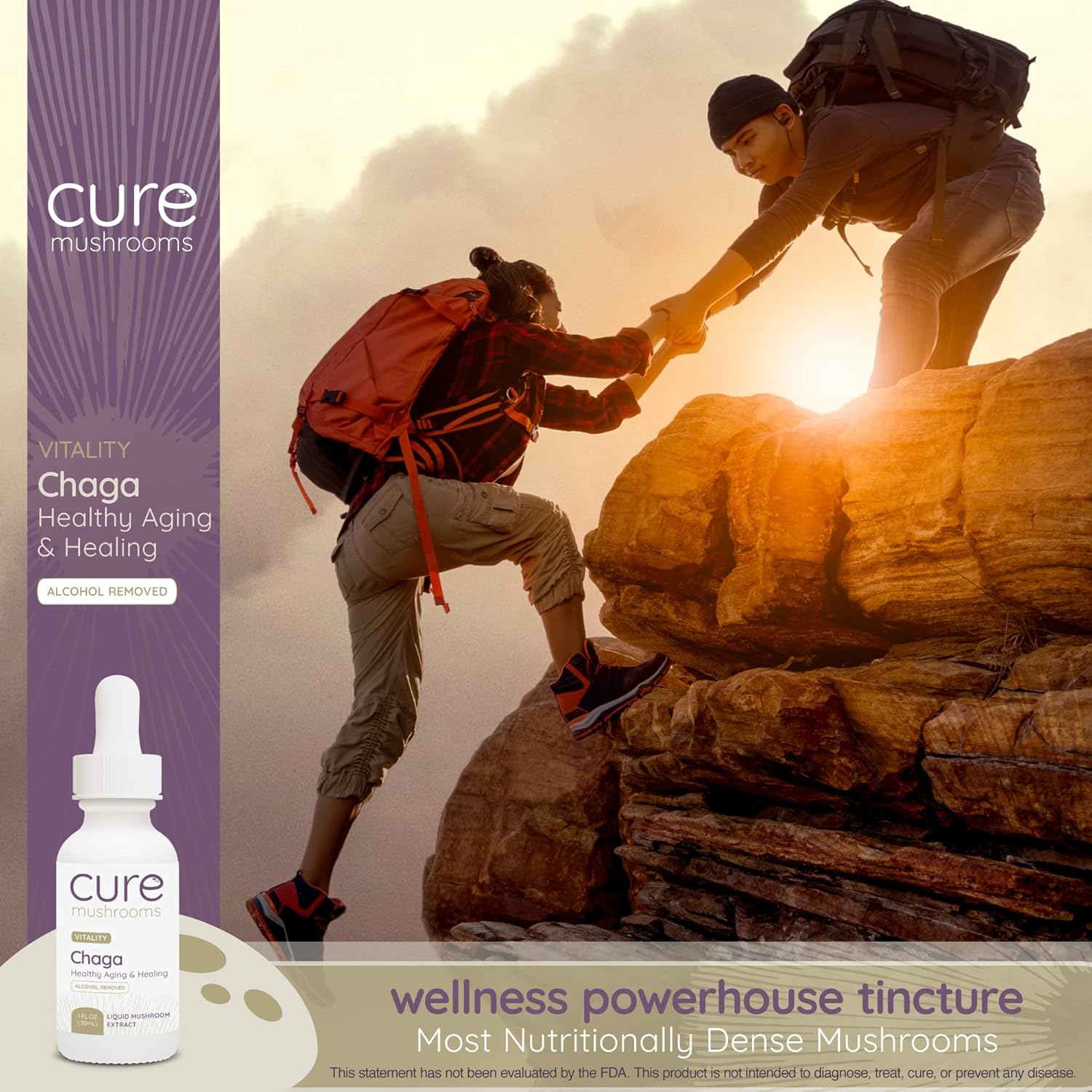 81ymMlsKGzL._AC_SL1500_.jpg The Beauty Pack - Tinctures - Chaga & Red Reishi Organic Supplement Drops - Image 4