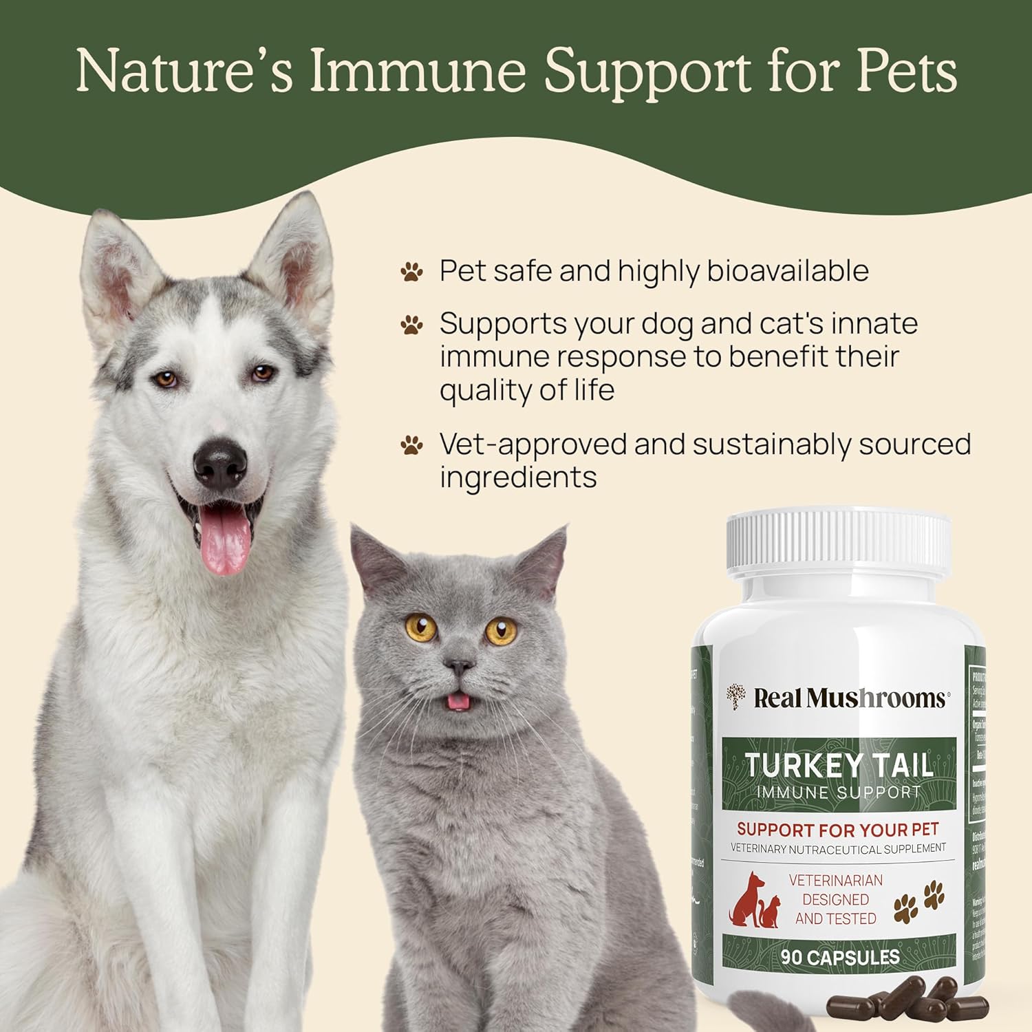 81ysNgaRb6L._AC_SL1500_.jpg Real Mushrooms Turkey Tail Powder for Humans (45 Servings) & Turkey Tail for Pets (90ct) - Powder & Capsules Bundle for Immune Support - Vegan, Non-GMO, Grain-Free, Gluten-Free - Image 8