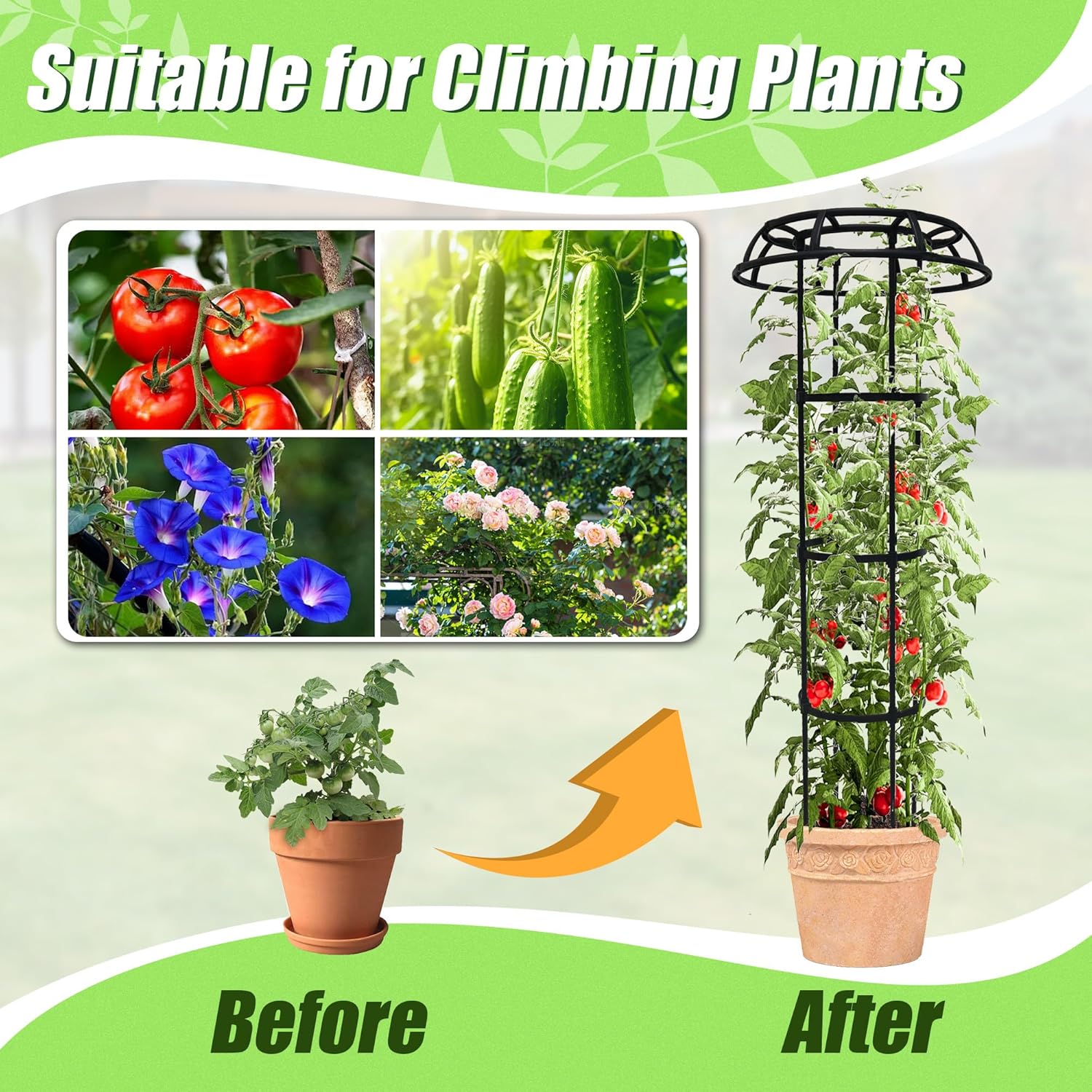 81zfiFXwPZL._AC_SL1500_.jpg Garden Trellis for Climbing Plants, 2 Pack 65 Inch Mushroom Top Trellis for Climbing Plants, Plant Trellis Support for Potted Plants Climbing Vine Rose Clematis Vegetable Outdoor Indoor - Image 6