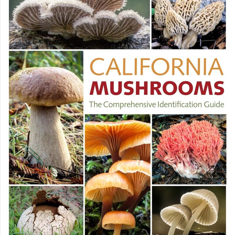 California Mushrooms: The Comprehensive Identification Guide