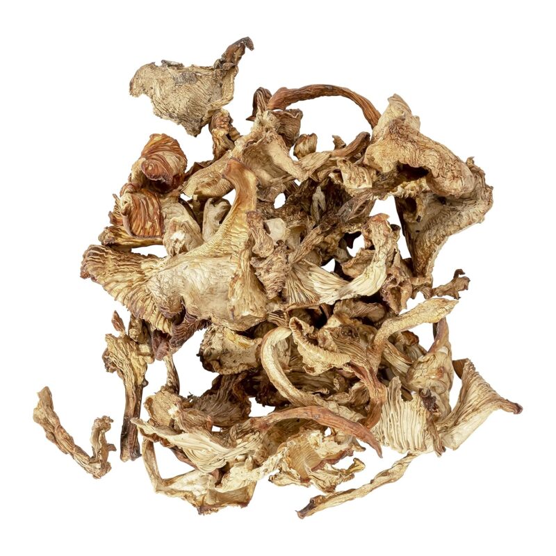 OliveNation Chanterelle Mushrooms 8 oz.