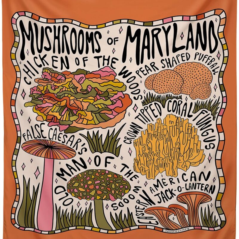 Society6 2021 Tapestry, 60” x 80”, Doodle by Meg Mushrooms of Maryland