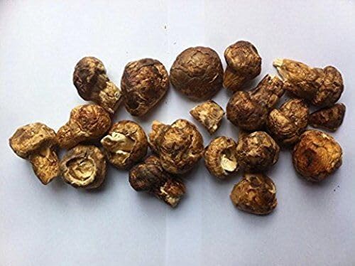 1748510108_41U8G7gIuAL.jpg 8 ounce (227 grams) Freeze Dried Matsutake Whole Mushroom Premium Grade - Image 2