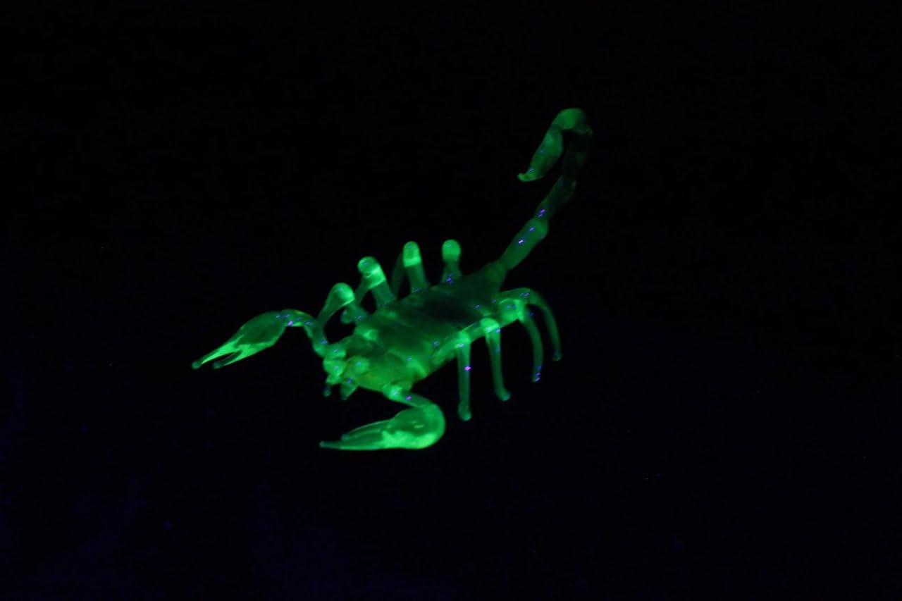 41-wEcMrmIL._SL1280_.jpg Uranium Glass Scorpion - Figurine Glass UV Scorpio - Scorpio - Image 5