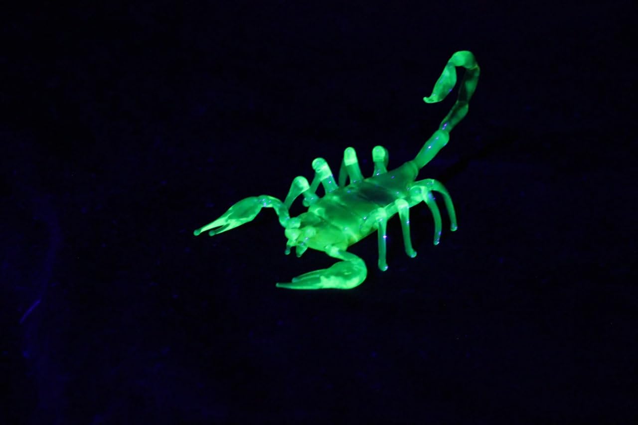 51EO35XIhAL._SL1280_.jpg Uranium Glass Scorpion - Figurine Glass UV Scorpio - Scorpio - Image 3
