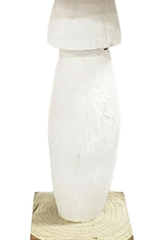 Handcrafteds Wood Mushroom Figurine Natural Wood Home Decoration Sculpture For Collectors And Enthusiasts