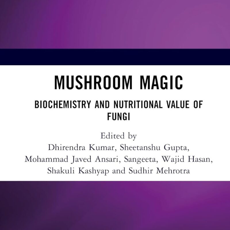 Mushroom Magic