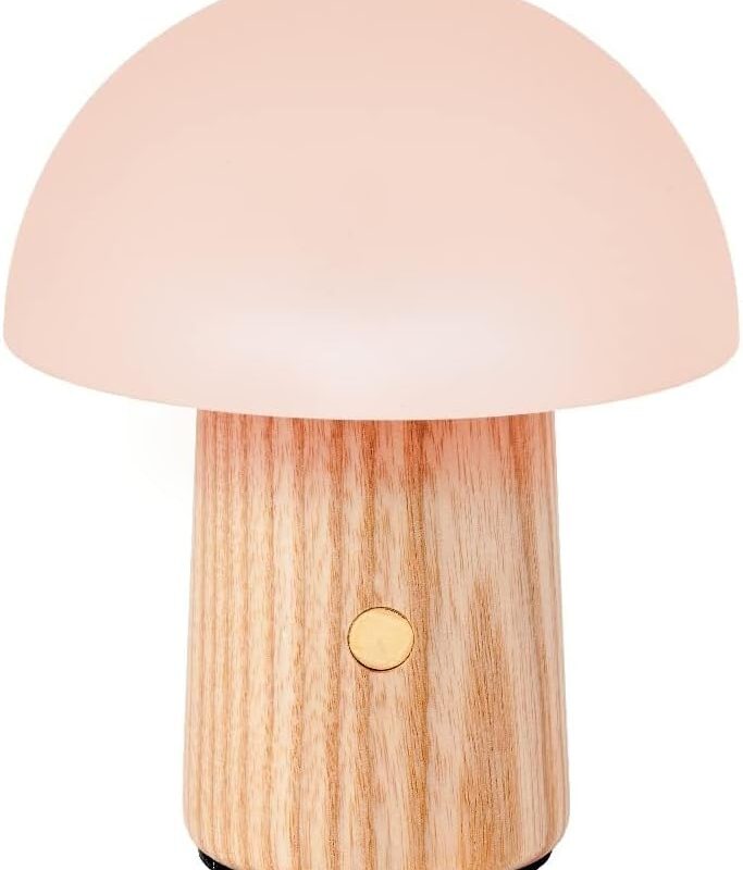 51jdb9WX78L._AC_SL1500_.jpg Gingko 7 Colour Changing RGB Alice Mushroom Lamp, Mood Light and Night Lights, Long Life Battery, USB-C Charging, 3 Light Modes, FSC Certified Wood with Frosted ABS Shade (White Ash, Super Mini)