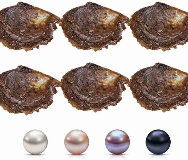 50PCS Akoya Pearl Oysters to Open, Saltwater Cultured Pearl Oyster for Party(6-7mm, White, Pink, Purple, Black)