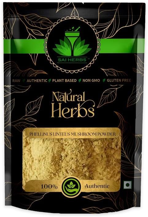YUJI Phellinus Linteus Mushroom Powder - Pure & Natural (100 Grams)