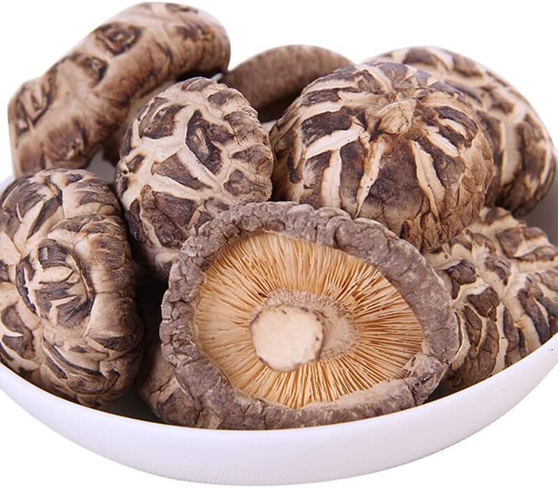 Shiitake Mushroom;Premium Mushroom;Mycological Dried Organic Shiitake Mushrooms,Mushroom House Dried Shiitake Premium Mushrooms (Hua gu-500 g(1.10 Pound))