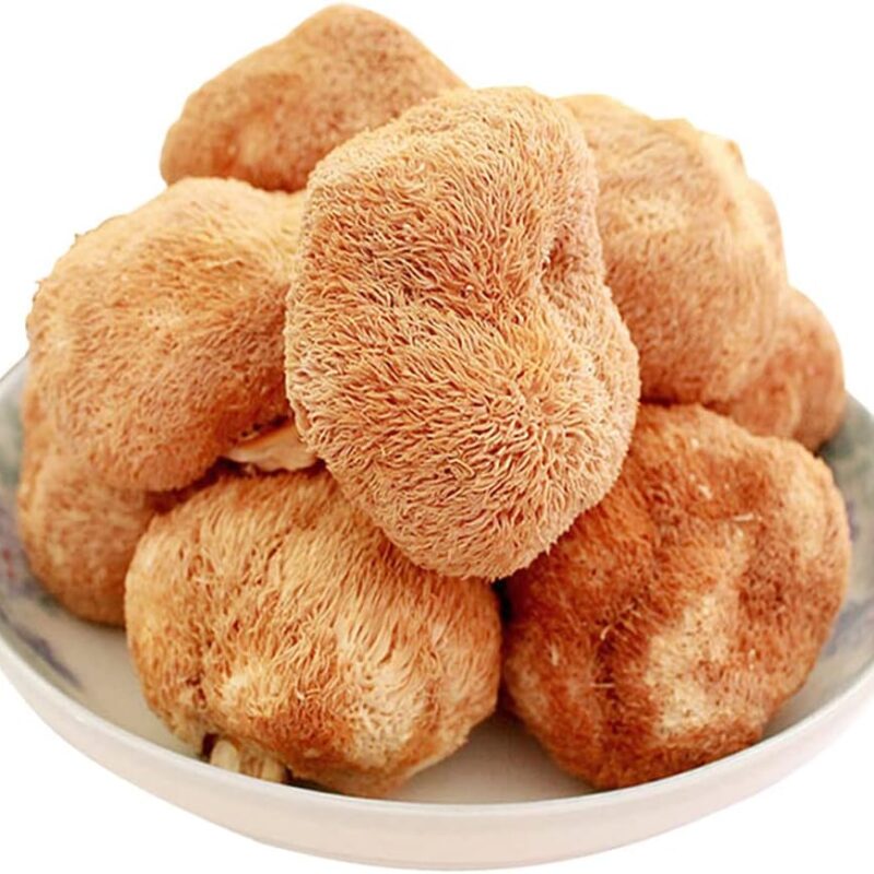 Hericium Erinaceus Organic Wild Lions Mane Mushroom HOU TOU Gu (1000 Grams)
