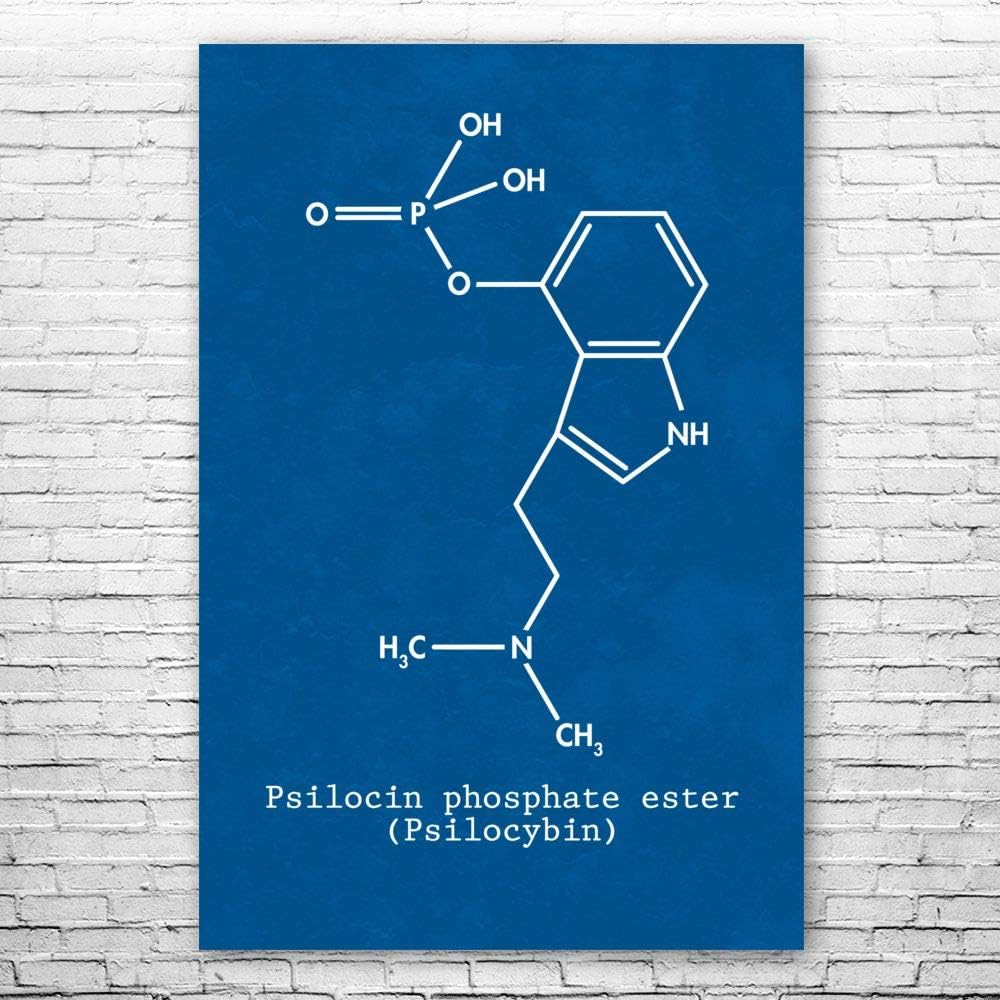614wdCQAmKL._AC_SL1000_.jpg Psilocybin Molecule Poster Print, Magic Mushrooms, Psilocybin Art, Stoner Gift, Hippie Gifts, Shrooms Art Print Blueprint (20 inch x 30 inch)