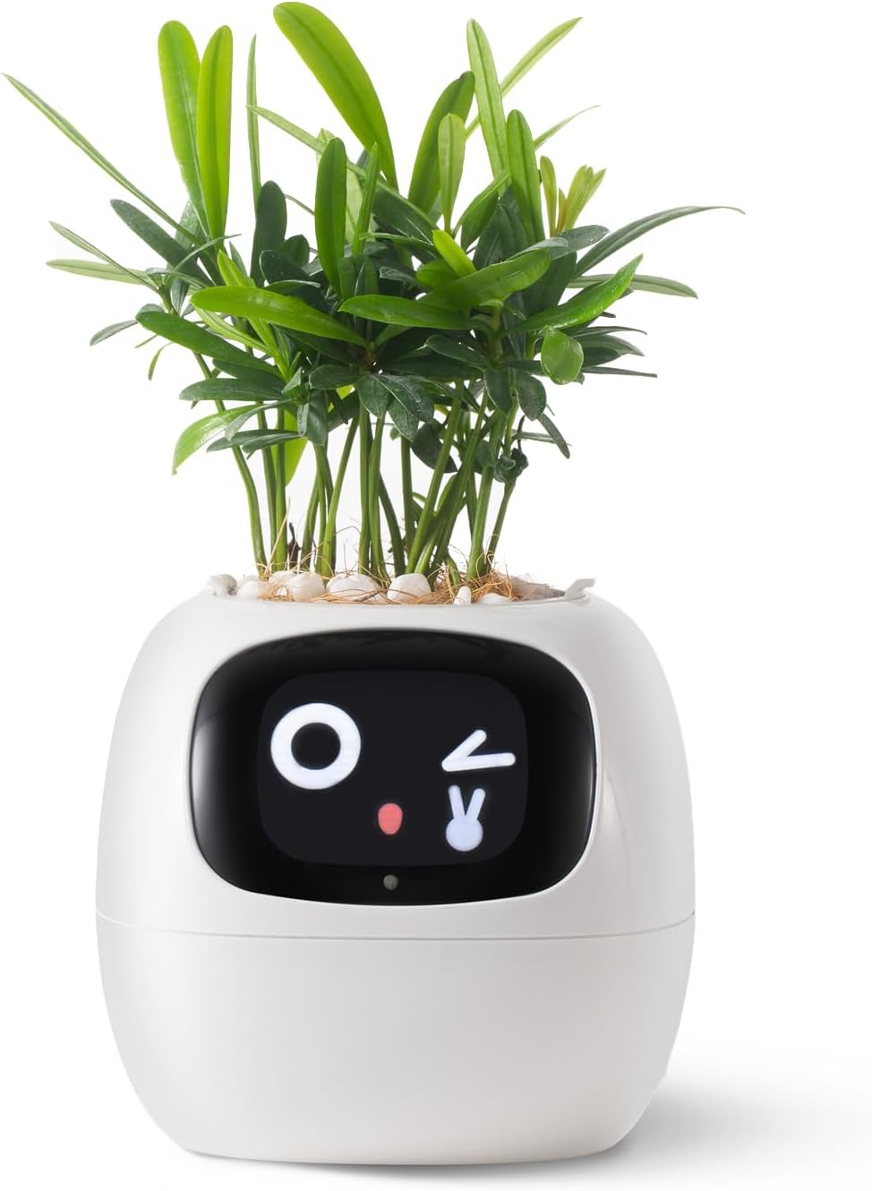 6150w8-8ZeL._AC_SL1500_.jpg Smart pet Planter Robot Guidance on Plant Care with Emojis, Adorable Plant Companion with Rich Gesture Interaction, Neat Desk Setup Gift (White)