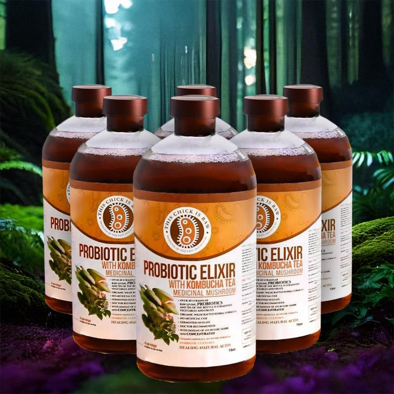 616fIAeGWtL.jpg Probiotic Mushroom Elixir – Kombucha Tea with Reishi, Chaga, Lion’s Mane & Cordyceps | Gut Health, Immune & Digestion Support | by This Chick Is Raw (Half Case) - Image 3
