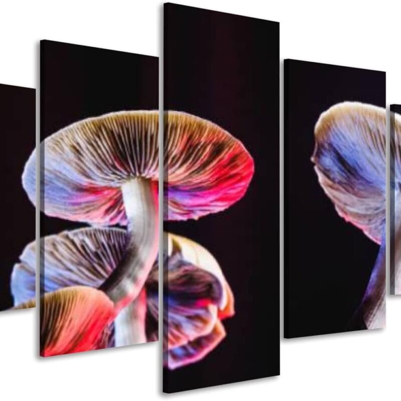 Framed Canvas Wall Art for Living Room Bedroom Office Decorations Mexican is a psilocybe cubensis Whose Main Active Elements are Decor Print Pictures Poster Large Painting Artwork 5 Piece