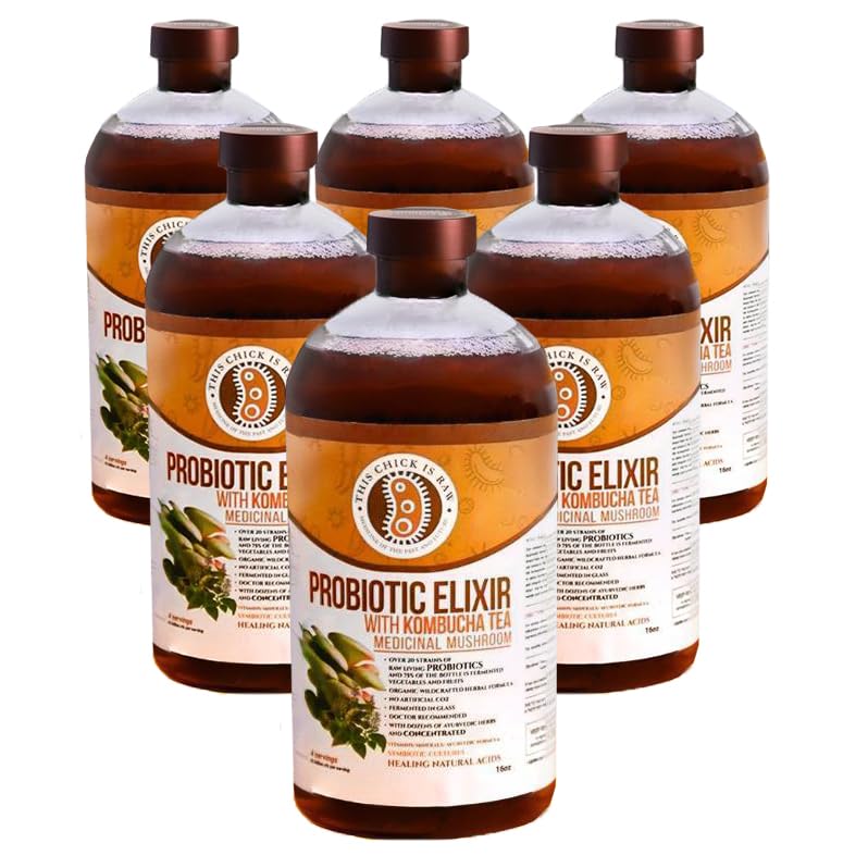 Probiotic Mushroom Elixir – Kombucha Tea with Reishi, Chaga, Lion’s Mane & Cordyceps | Gut Health, Immune & Digestion Support | by This Chick Is Raw (Half Case)