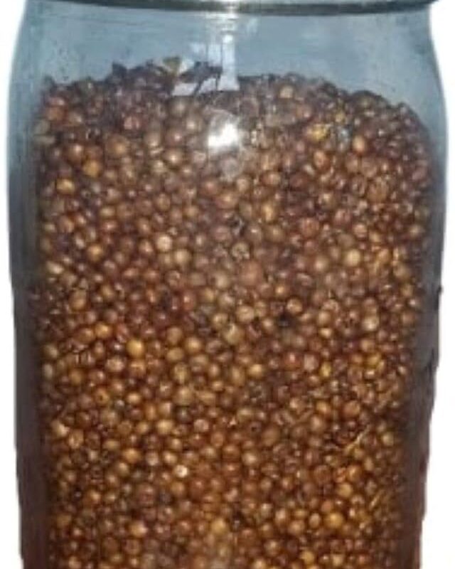 Sterilized Milo Grain Mushroom Substrate in Injectable Jars (3 Jars Per Order) - Each Jar Has a Self-Healing Injection Port and a Filter