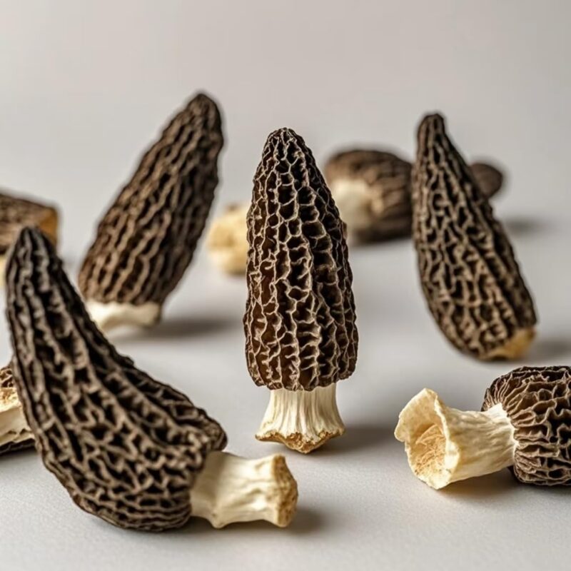 Dried Morel Mushrooms, Premium Gourmet Morchella Conica, 6 Ounces