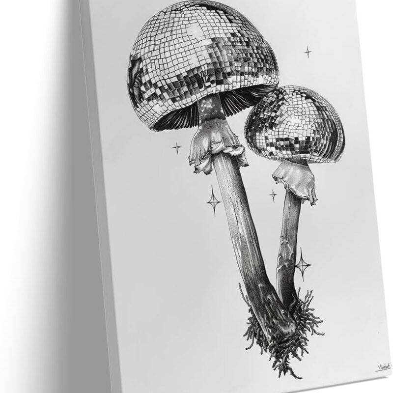 Generic Disco Mushroom Canvas wall art Disco Mushroom picture disco ball poster funky wall art minimalist decor Modern Living room Bedroom Bathroom Bar Home decor (20x30in Framed,art)