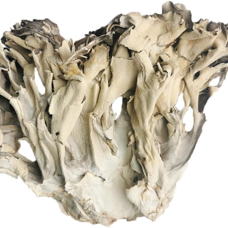 Grifola Frondosa Dried Maitake Mushroom (500g(1.10pounds))