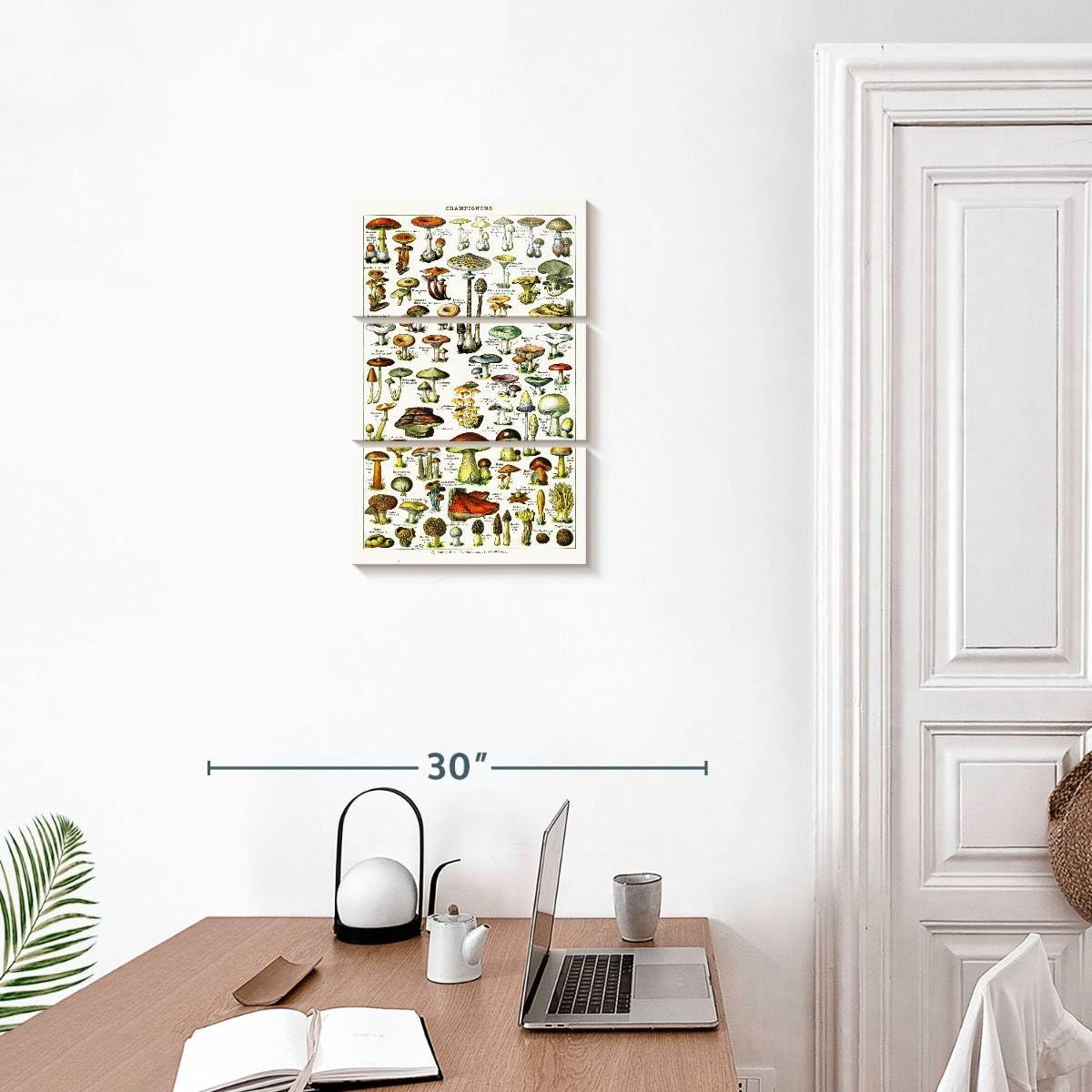 61SRvSsmFPL._AC_SL1200_.jpg Elephant Stock - Mushroom Varieties Wall Art - Vertical Multi Panel Canvas - 3 Piece Living Room Wall Decor - Digital Art Food And Drink Multi Piece Wall Art - Gray And Beige Decor - 14" x 23" - Image 3