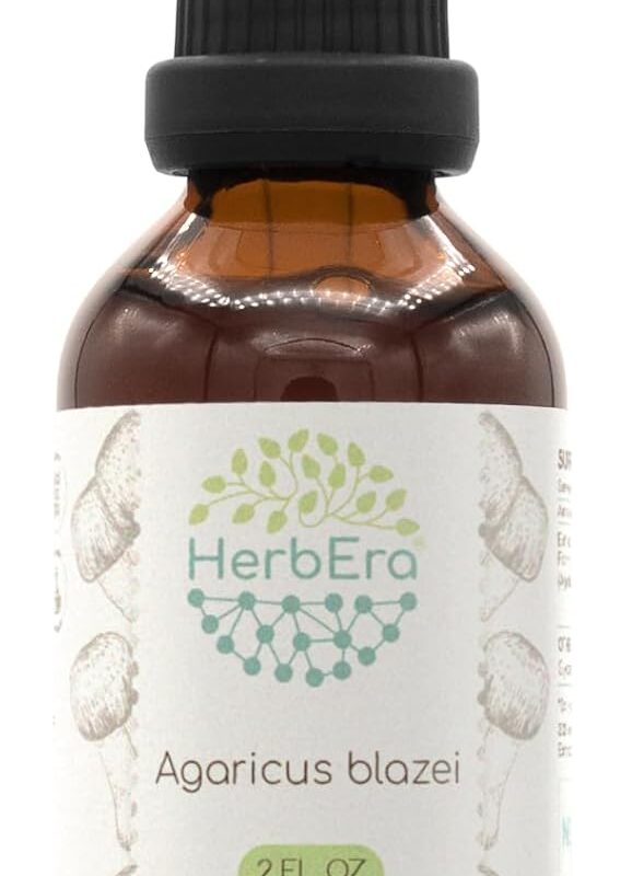 Agaricus Blazei B60 Alcohol-Free Herbal Extract Tincture, Concentrated Liquid Drops Natural Agaricus Blazei (Agaricus blazei murill) Dried Mushroom (2 fl oz)