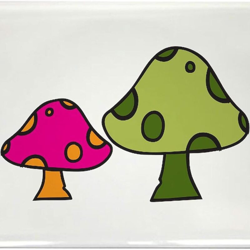 CafePress Two Mushrooms Magnets Rectangle Magnet (100 pack)