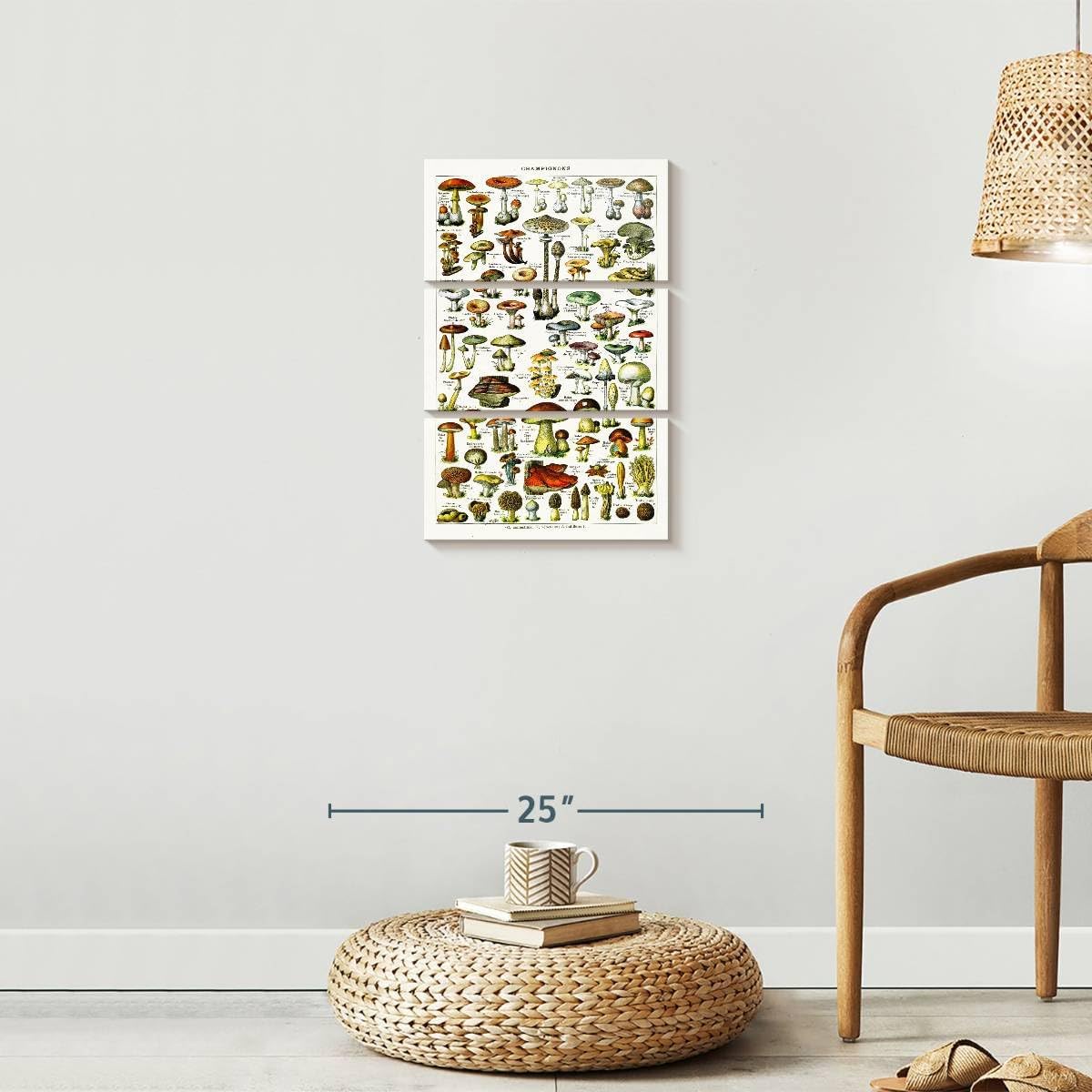 61WFySuqThL._AC_SL1200_.jpg Elephant Stock - Mushroom Varieties Wall Art - Vertical Multi Panel Canvas - 3 Piece Living Room Wall Decor - Digital Art Food And Drink Multi Piece Wall Art - Gray And Beige Decor - 14" x 23" - Image 8
