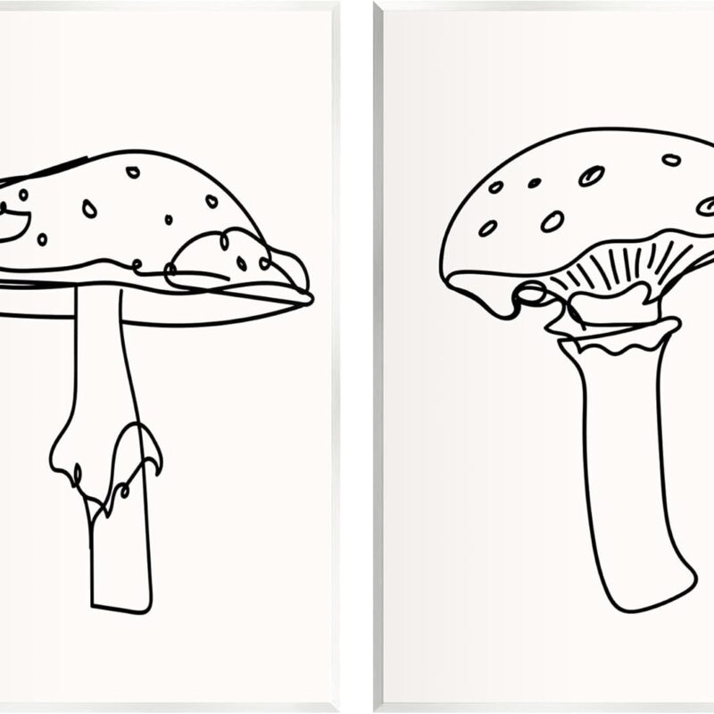 Stupell Industries Mushroom Line Doodles 2 Piece Wall Plaque Art Set by Lil' Rue
