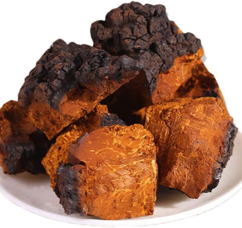 1000g Siberia Pure Natural Premium Inonotus Obliquus,Chaga Mushroom,Herbal Supplements.